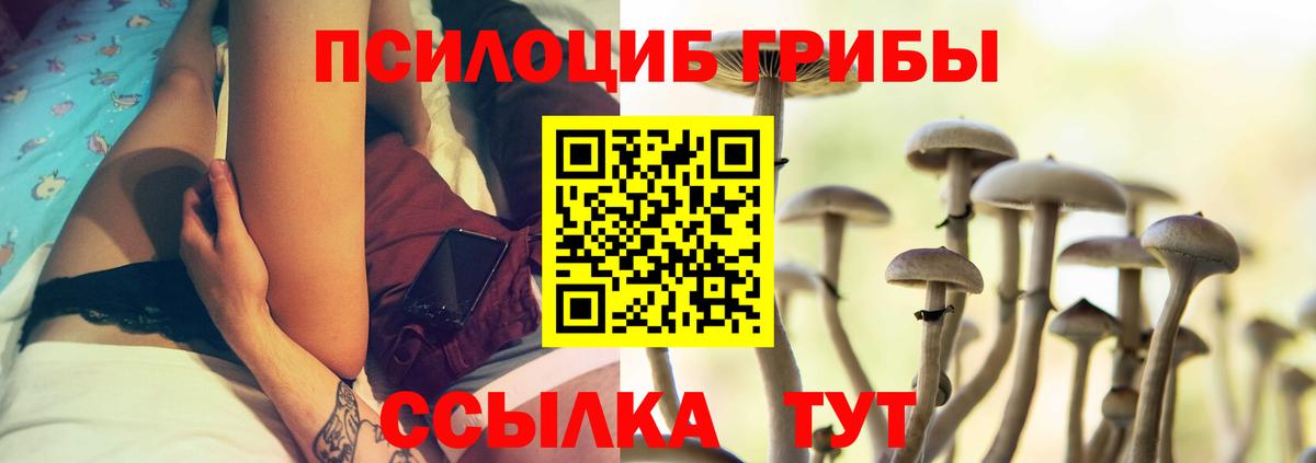 Вязники  Галлюциногенные грибы мухоморы  Вход с VPN 