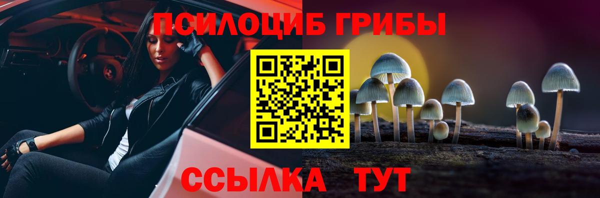 Псилоцибиновые грибы ЛСД Вязники